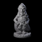 Sneaky Gnome Thief C Miniature for Dungeons and Dragons, Pathfinder or other TTRPGs