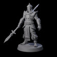 Spear Wielding Palace Guard A Miniature for Dungeons and Dragons, Pathfinder or other TTRPGs