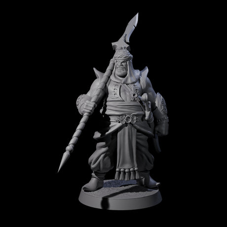 Spear Wielding Palace Guard B Miniature for Dungeons and Dragons, Pathfinder or other TTRPGs