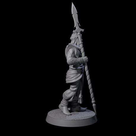 Spear Wielding Palace Guard C Miniature for Dungeons and Dragons, Pathfinder or other TTRPGs