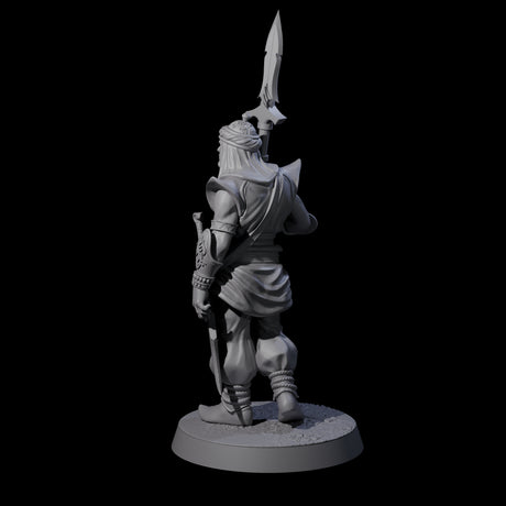 Spear Wielding Palace Guard C Miniature for Dungeons and Dragons, Pathfinder or other TTRPGs