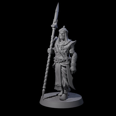 Spear Wielding Palace Guard C Miniature for Dungeons and Dragons, Pathfinder or other TTRPGs