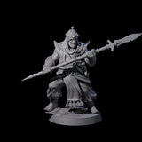 Spear Wielding Palace Guard D Miniature for Dungeons and Dragons, Pathfinder or other TTRPGs