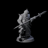 Spear Wielding Palace Guard D Miniature for Dungeons and Dragons, Pathfinder or other TTRPGs