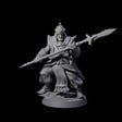 Spear Wielding Palace Guard D Miniature for Dungeons and Dragons, Pathfinder or other TTRPGs