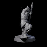 Spear Wielding Palace Guard E Miniature for Dungeons and Dragons, Pathfinder or other TTRPGs