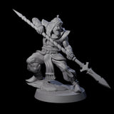 Spear Wielding Palace Guard E Miniature for Dungeons and Dragons, Pathfinder or other TTRPGs