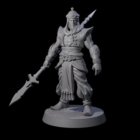 Spear Wielding Palace Guards Miniature for Dungeons and Dragons, Pathfinder or other TTRPGs