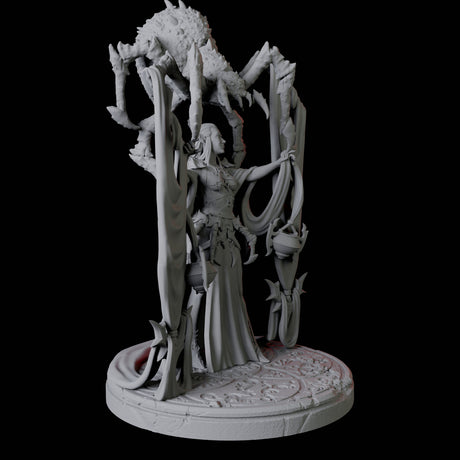 Spider Priestess A Miniature for Dungeons and Dragons, Pathfinder or other TTRPGs
