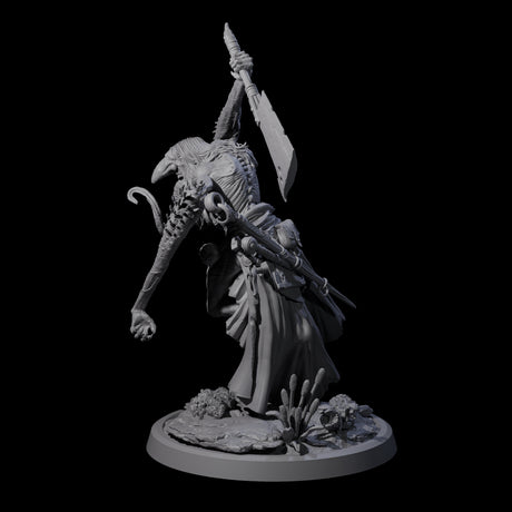 Spindly Forest Hag D Miniature for Dungeons and Dragons, Pathfinder or other TTRPGs