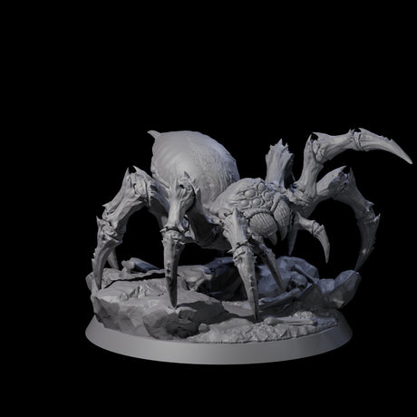 Spinning Giant Spider C Miniature for Dungeons and Dragons, Pathfinder or other TTRPGs