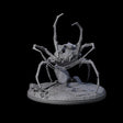 Spinning Web Cave Spider A Miniature for Dungeons and Dragons, Pathfinder or other TTRPGs