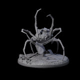 Spinning Web Cave Spider A Miniature for Dungeons and Dragons, Pathfinder or other TTRPGs