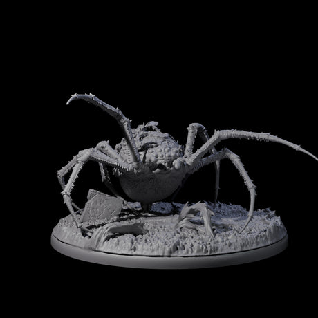 Spinning Web Cave Spider B Miniature for Dungeons and Dragons, Pathfinder or other TTRPGs