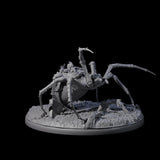 Spinning Web Cave Spider B Miniature for Dungeons and Dragons, Pathfinder or other TTRPGs