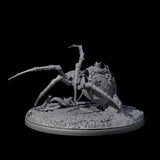 Spinning Web Cave Spider B Miniature for Dungeons and Dragons, Pathfinder or other TTRPGs