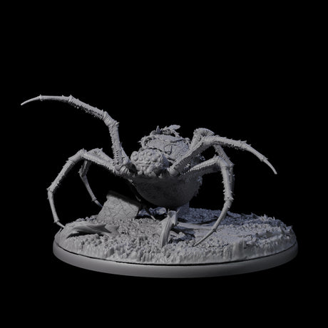 Spinning Web Cave Spider B Miniature for Dungeons and Dragons, Pathfinder or other TTRPGs