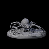 Spinning Web Cave Spider C Miniature for Dungeons and Dragons, Pathfinder or other TTRPGs