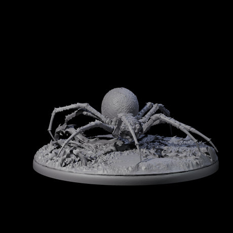Spinning Web Cave Spider C Miniature for Dungeons and Dragons, Pathfinder or other TTRPGs