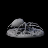 Spinning Web Cave Spider C Miniature for Dungeons and Dragons, Pathfinder or other TTRPGs