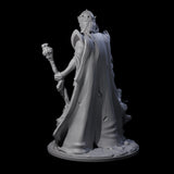 Spooky Lich Necromancer Miniature for Dungeons and Dragons, Pathfinder or other TTRPGs