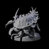 Squat Ankheg A Miniature for Dungeons and Dragons, Pathfinder or other TTRPGs