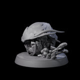 Squat Ankheg C Miniature for Dungeons and Dragons, Pathfinder or other TTRPGs