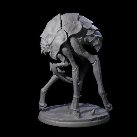 Stalking Underdark Ankheg C Miniature for Dungeons and Dragons, Pathfinder or other TTRPGs