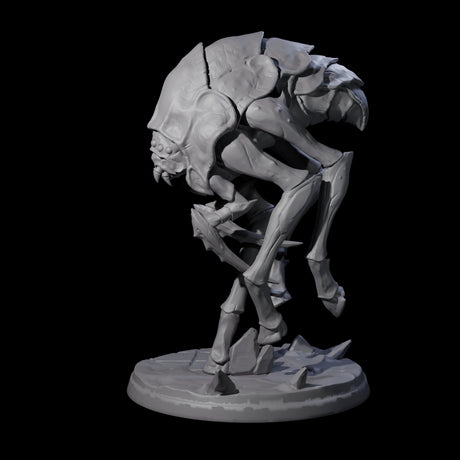 Stalking Underdark Ankheg D Miniature for Dungeons and Dragons, Pathfinder or other TTRPGs