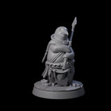 Stalwart Dohwar Lancer Miniature for Dungeons and Dragons, Pathfinder or other TTRPGs