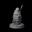 Stalwart Dohwar Lancer Miniature for Dungeons and Dragons, Pathfinder or other TTRPGs