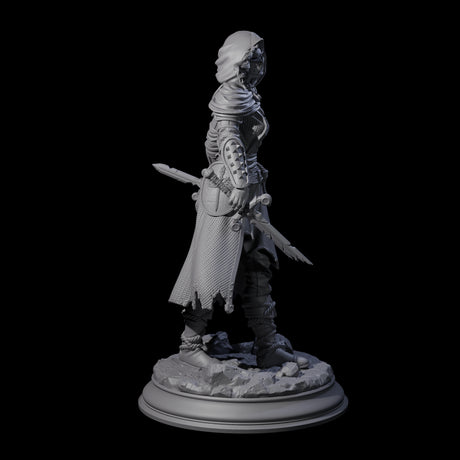 Stalwart Human Paladin Miniature for Dungeons and Dragons, Pathfinder or other TTRPGs