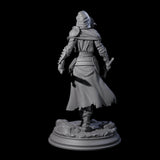 Stalwart Human Paladin Miniature for Dungeons and Dragons, Pathfinder or other TTRPGs