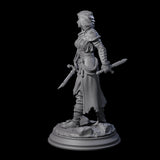 Stalwart Human Paladin Miniature for Dungeons and Dragons, Pathfinder or other TTRPGs