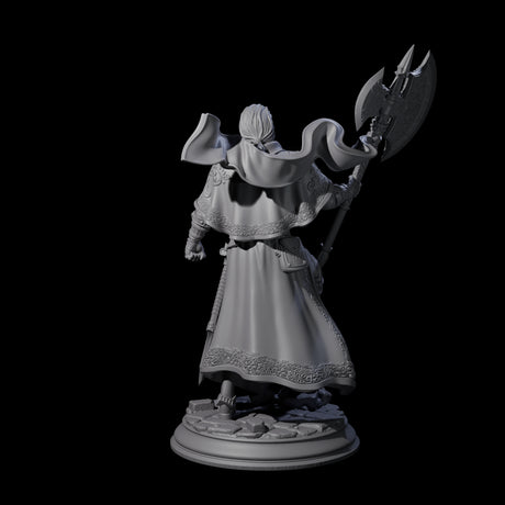 Steadfast Champion Miniature for Dungeons and Dragons, Pathfinder or other TTRPGs