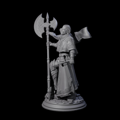 Steadfast Champion Miniature for Dungeons and Dragons, Pathfinder or other TTRPGs