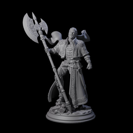 Steadfast Champion Miniature for Dungeons and Dragons, Pathfinder or other TTRPGs