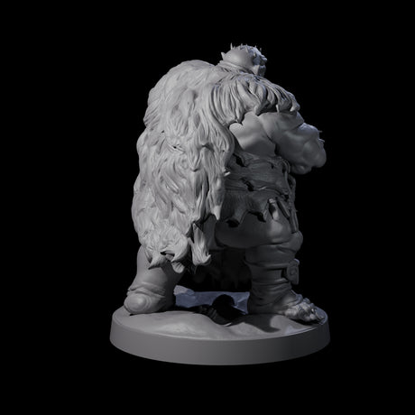 Stinking Ogre B Miniature for Dungeons and Dragons, Pathfinder or other TTRPGs