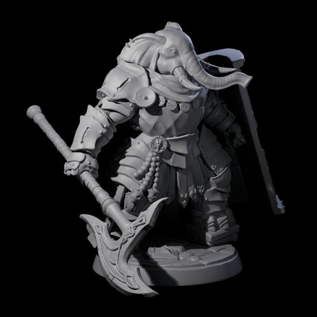Stoic Loxodon Guard D Miniature for Dungeons and Dragons, Pathfinder or other TTRPGs