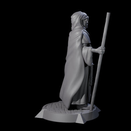 Stoic Wise Man Miniature for Dungeons and Dragons, Pathfinder or other TTRPGs