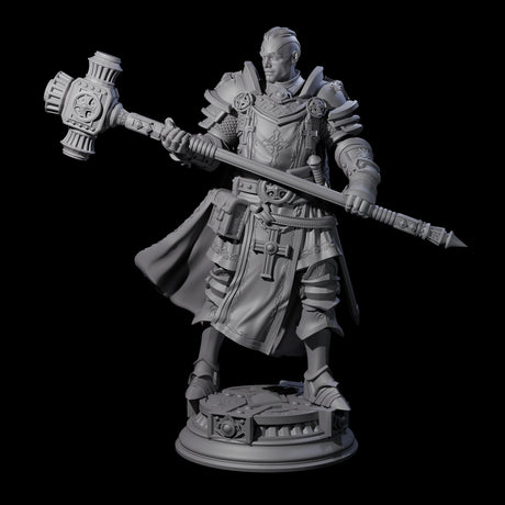 Stormswept Elf Paladin Miniature for Dungeons and Dragons, Pathfinder or other TTRPGs
