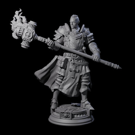 Stormswept Elf Paladin Miniature for Dungeons and Dragons, Pathfinder or other TTRPGs