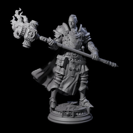 Stormswept Elf Paladin Miniature for Dungeons and Dragons, Pathfinder or other TTRPGs