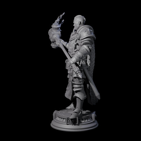 Stormswept Elf Paladin Miniature for Dungeons and Dragons, Pathfinder or other TTRPGs