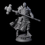 Stormswept Elf Paladin Miniature for Dungeons and Dragons, Pathfinder or other TTRPGs