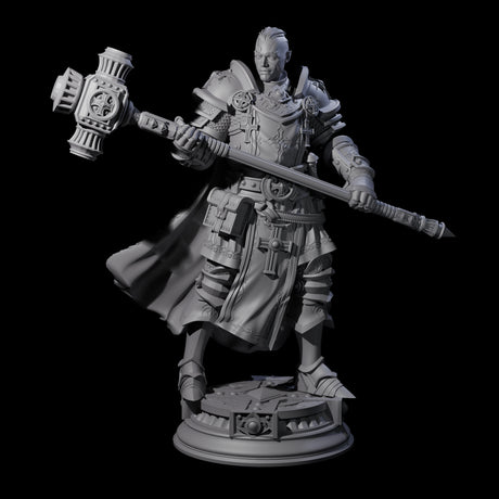 Stormswept Elf Paladin Miniature for Dungeons and Dragons, Pathfinder or other TTRPGs