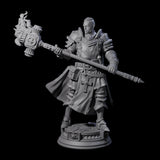 Stormswept Elf Paladin Miniature for Dungeons and Dragons, Pathfinder or other TTRPGs