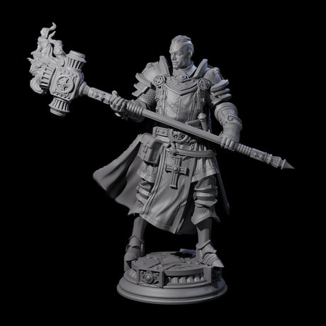 Stormswept Elf Paladin Miniature for Dungeons and Dragons, Pathfinder or other TTRPGs