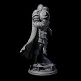 Stormswept Elf Paladin Miniature for Dungeons and Dragons, Pathfinder or other TTRPGs