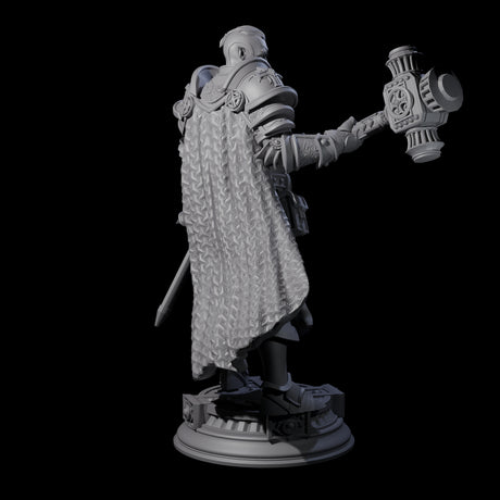 Stormswept Elf Paladin Miniature for Dungeons and Dragons, Pathfinder or other TTRPGs
